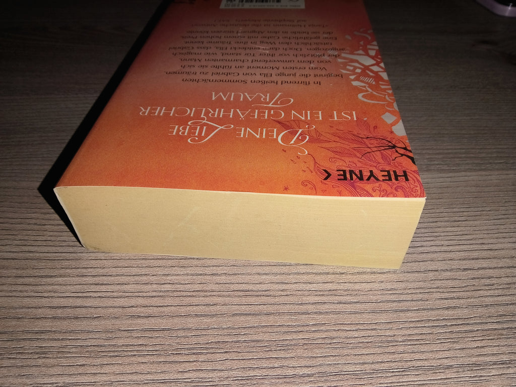 Traumsplitter | Tanja Heitmann | Heyne Verlag | Taschenbuch | Mängelexemplar | gebraucht