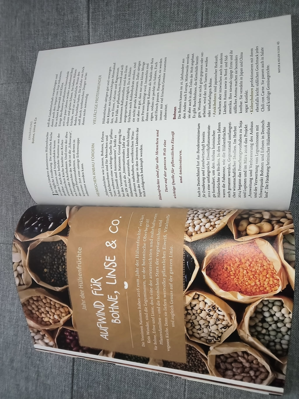 natur & heilen | Die Monatszeitschrift für gesundes Leben | Ausgabe November 2016 | Zeitschrift | Zustand gut