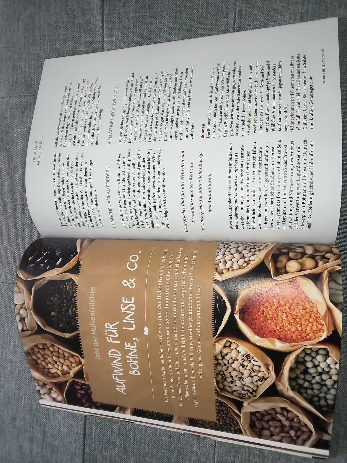 natur & heilen | Die Monatszeitschrift für gesundes Leben | Ausgabe November 2016 | Zeitschrift | Zustand gut