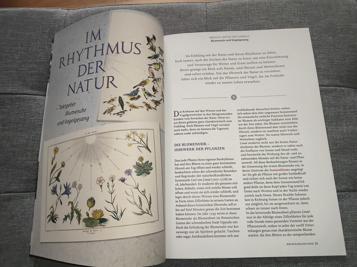 natur & heilen | Die Monatszeitschrift für gesundes Leben | Ausgabe April 2016 | Zeitschrift | Zustand gut