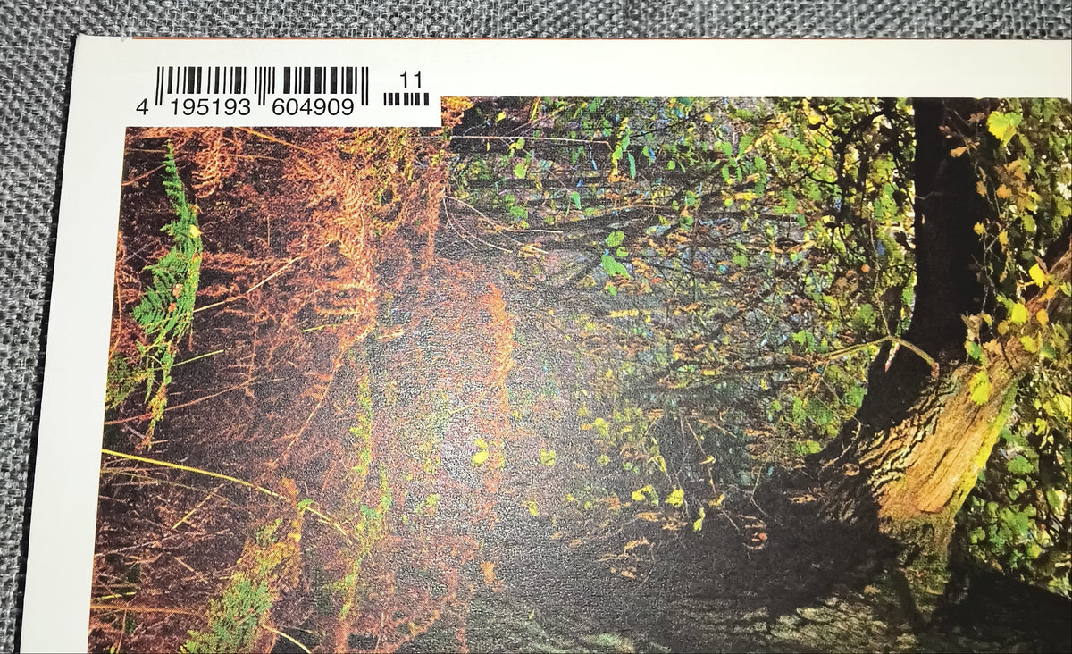 natur & heilen | Die Monatszeitschrift für gesundes Leben | Ausgabe November 2014 | Zeitschrift | Zustand sehr gut