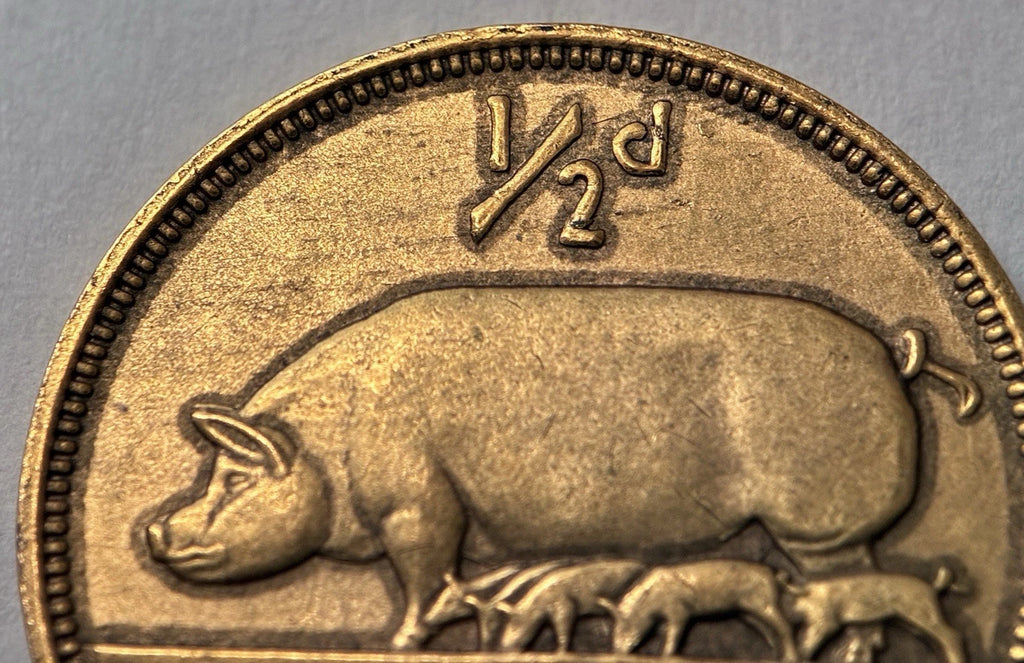 1/2 Penny 1964 | Irland | Glücksmünze der Iren | Bronze | Edel vergoldet | Mit Zertifikat | Münze
