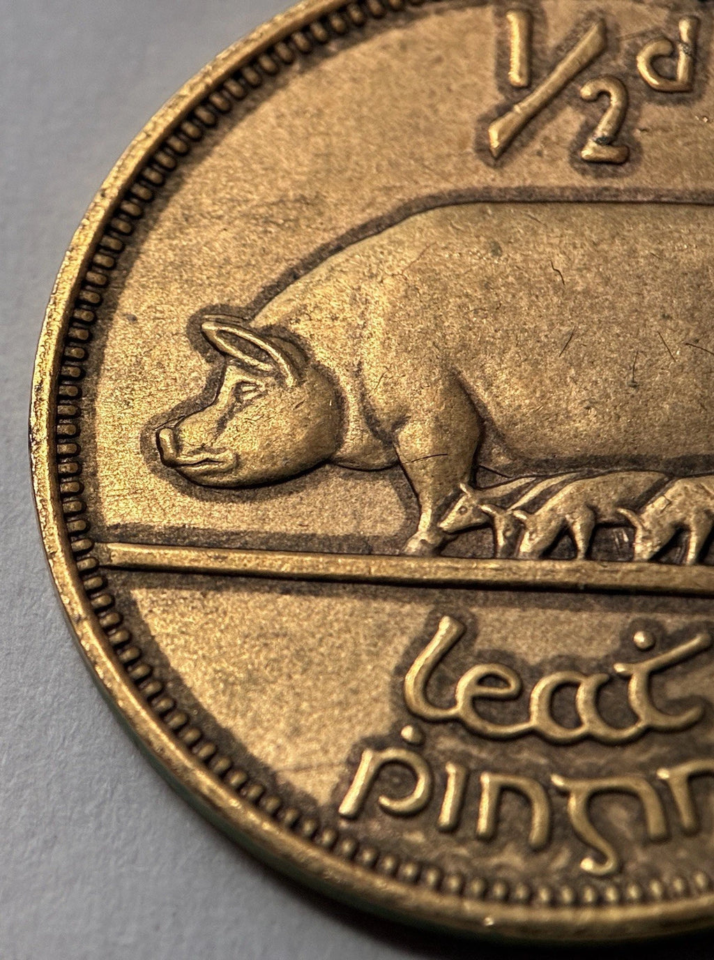 1/2 Penny 1964 | Irland | Glücksmünze der Iren | Bronze | Edel vergoldet | Mit Zertifikat | Münze