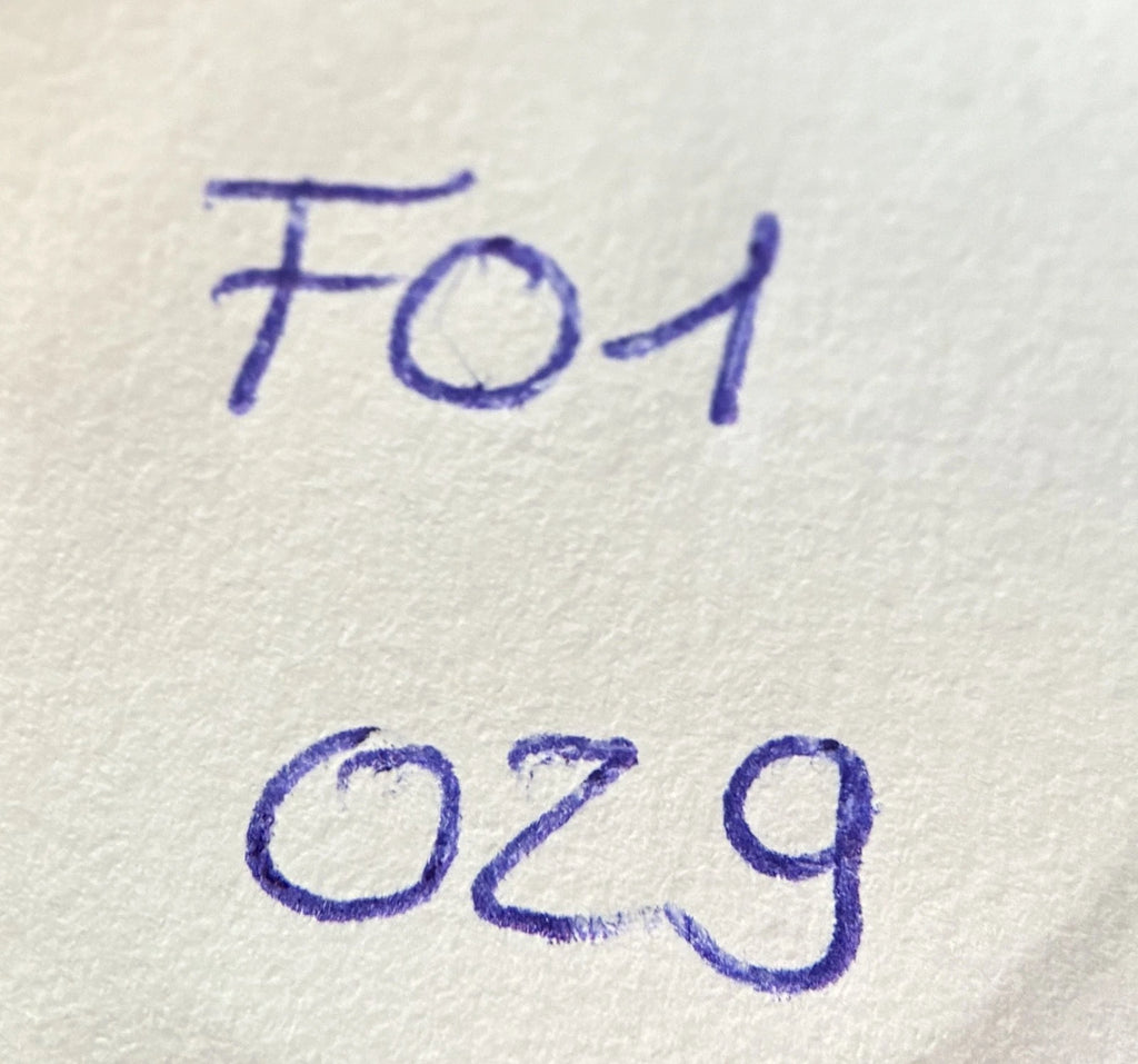 20 Cent 2019 | Slowenien | Lipizzaner Pferde | Nordisches Gold Münze | schön