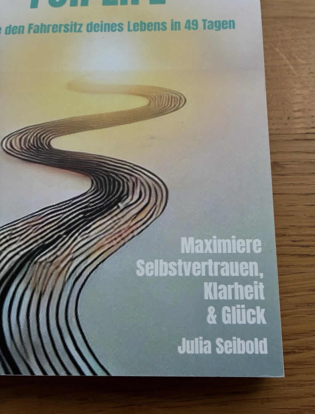 Driving License for Life: Erobere den Fahrersitz deines Lebens in 49 Tagen | Julia Seibold | Taschenbuch | Zustand sehr gut