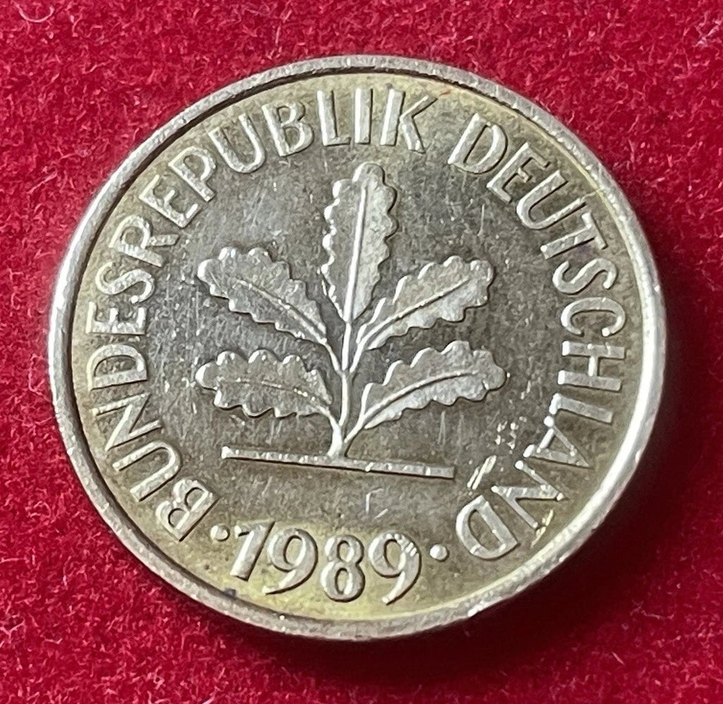 5 Pfennig 1989 J | Bundesrepublik Deutschland (BRD) | Eichenzweig & Getreideähren | Münze aus Vermessingtem Stahl | Sehr schön