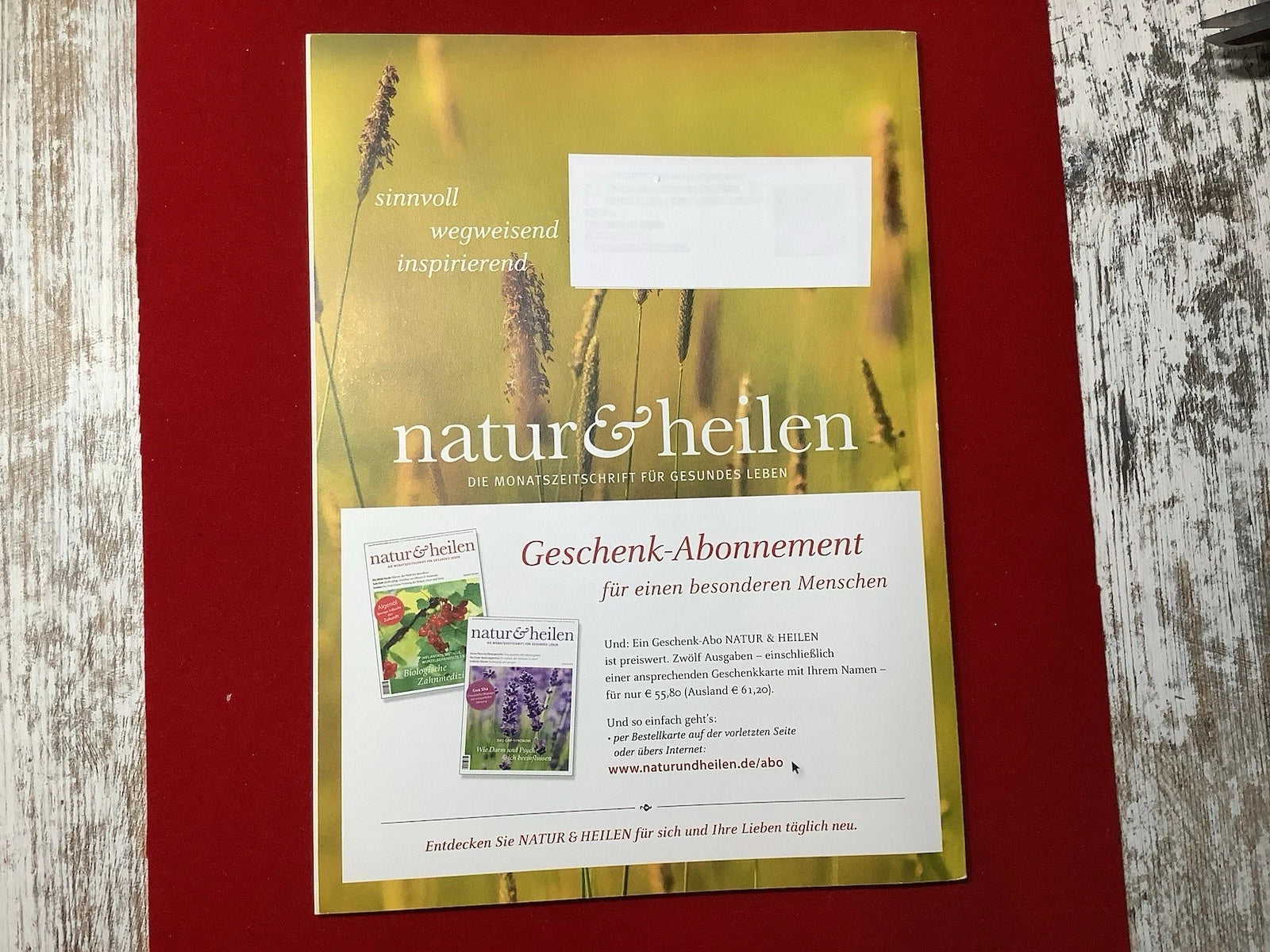 Natur & Heilen Nr. 6/2020 | Hashimoto natürlich behandeln | Menschen, die die Welt verändern | Zeitschrift | Zustand gut