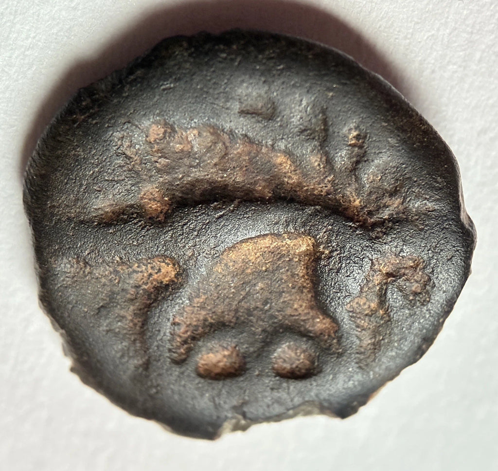 Kelten Gallien Leuci Potin - Obol 150-50 vor Chr. – Antike Bronzemünze / Sehr gut erhalten
