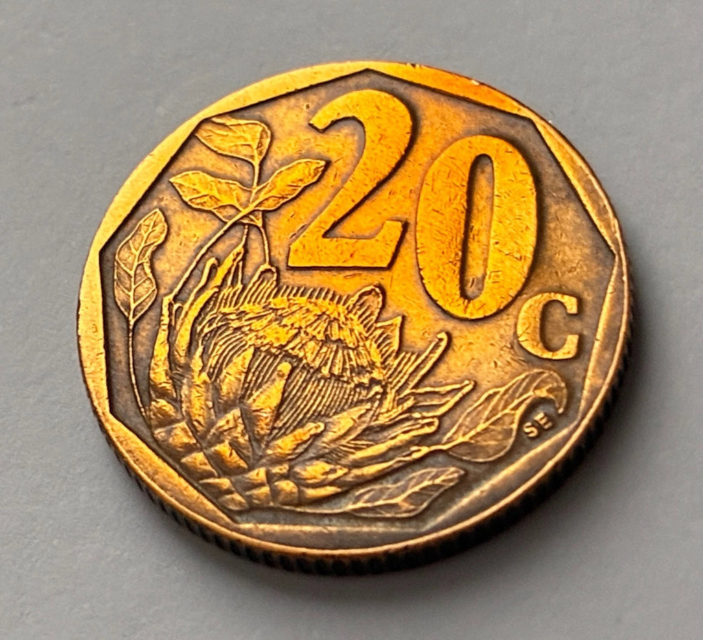 20 Cents 1999 | Südafrika | Zuckerbusch Motiv (Protea) | Verbronzter Stahl Münze | schön