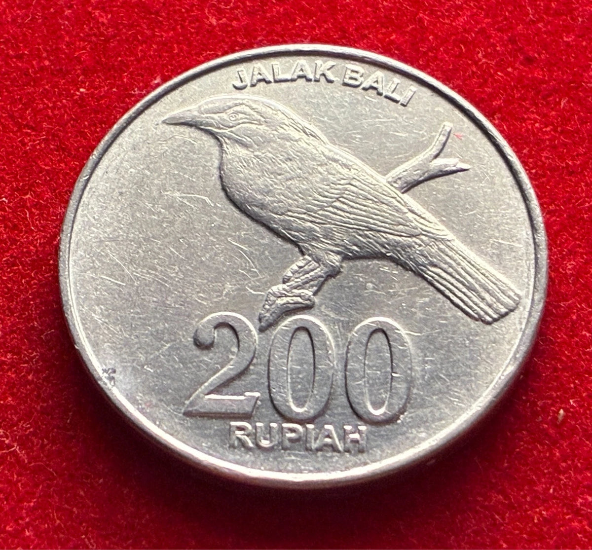 200 Rupiah 2003 | Indonesien | Bali-Star (Jalak Bali) | Aluminium Münze | schön
