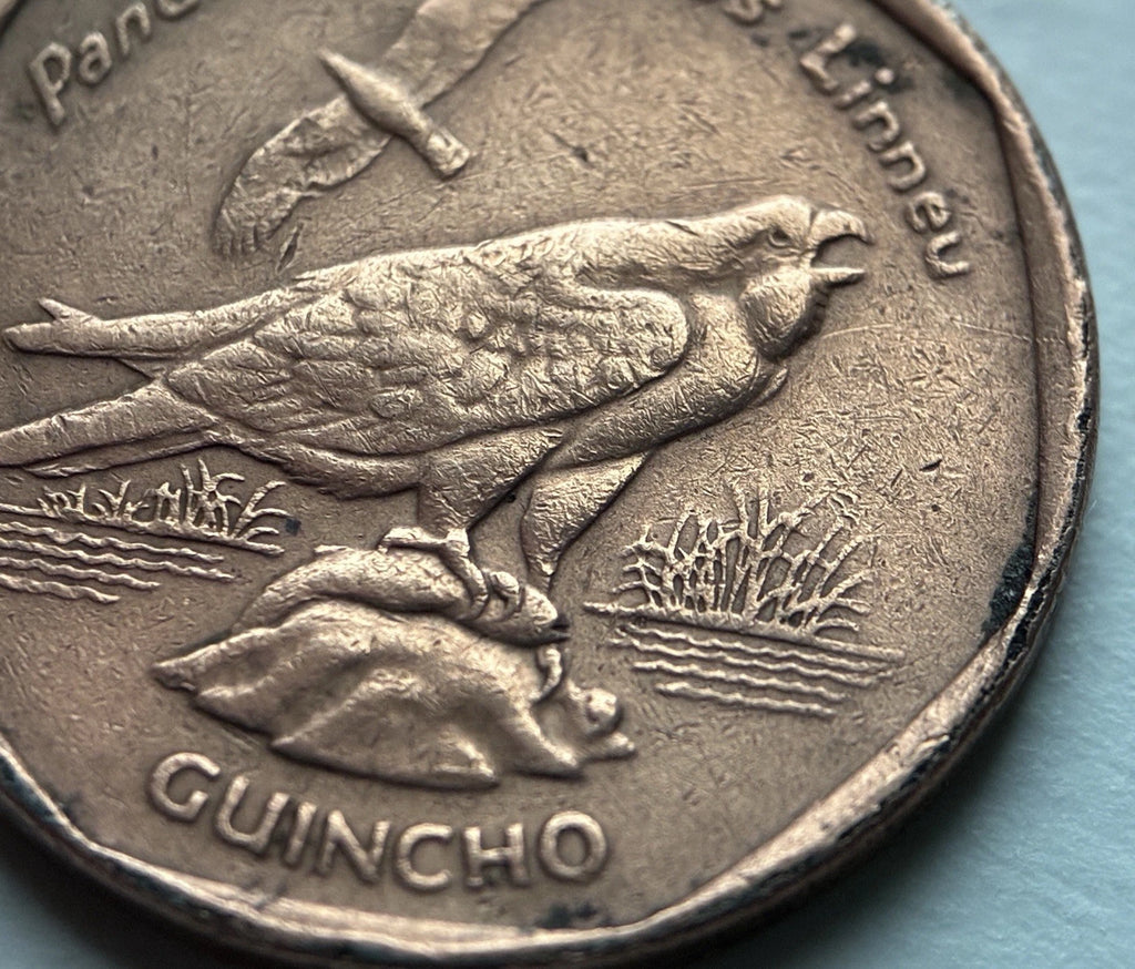 5 Escudos 1994 | Kap Verde | Fischadler / Guincho | Kupferplattierter Stahl Münze