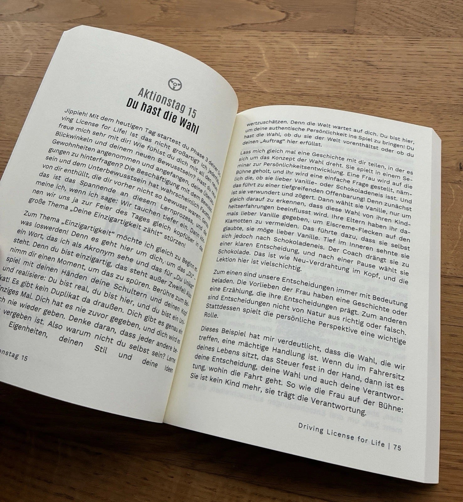 Driving License for Life: Erobere den Fahrersitz deines Lebens in 49 Tagen | Julia Seibold | Taschenbuch | Zustand sehr gut
