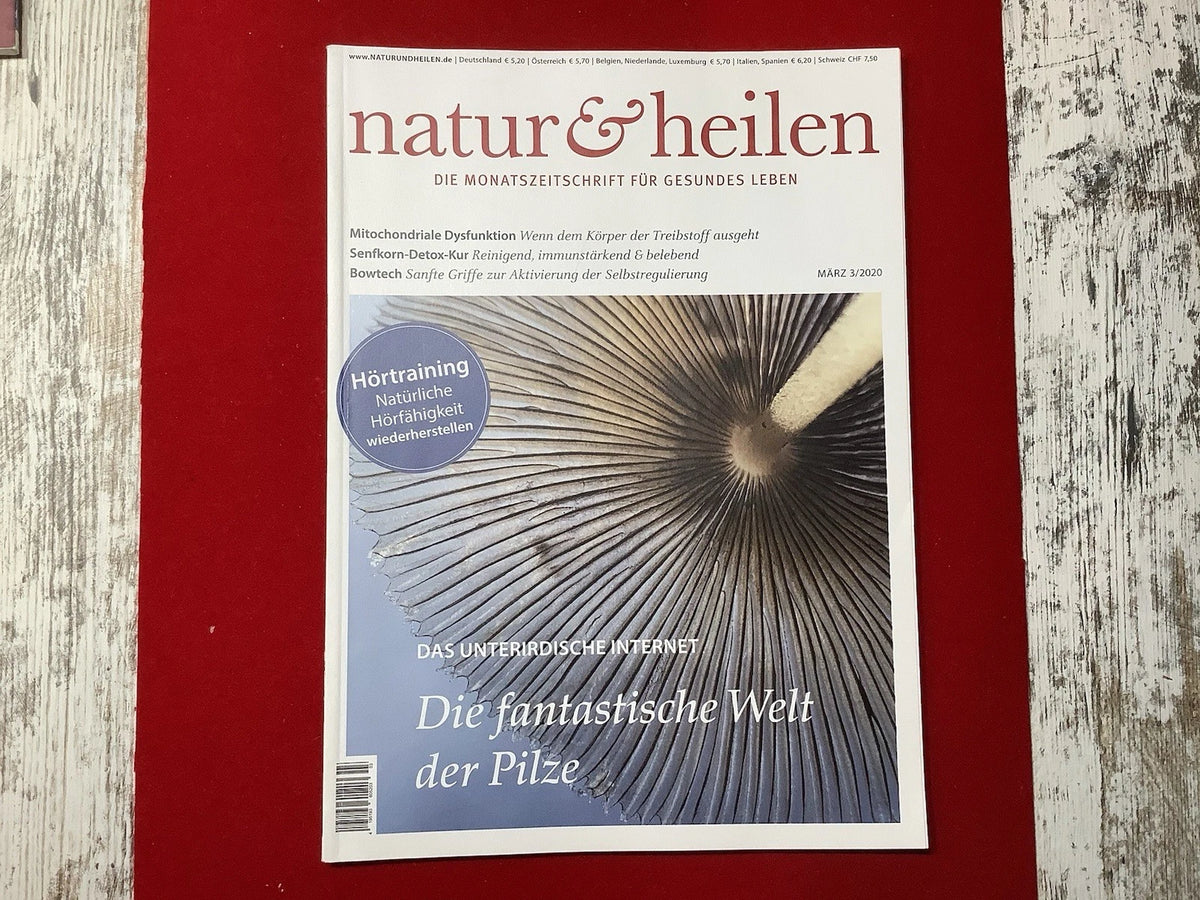 Natur & Heilen Nr. 3/2020 | Die fantastische Welt der Pilze | Mitochondriale Dysfunktion | Zeitschrift | Zustand gut