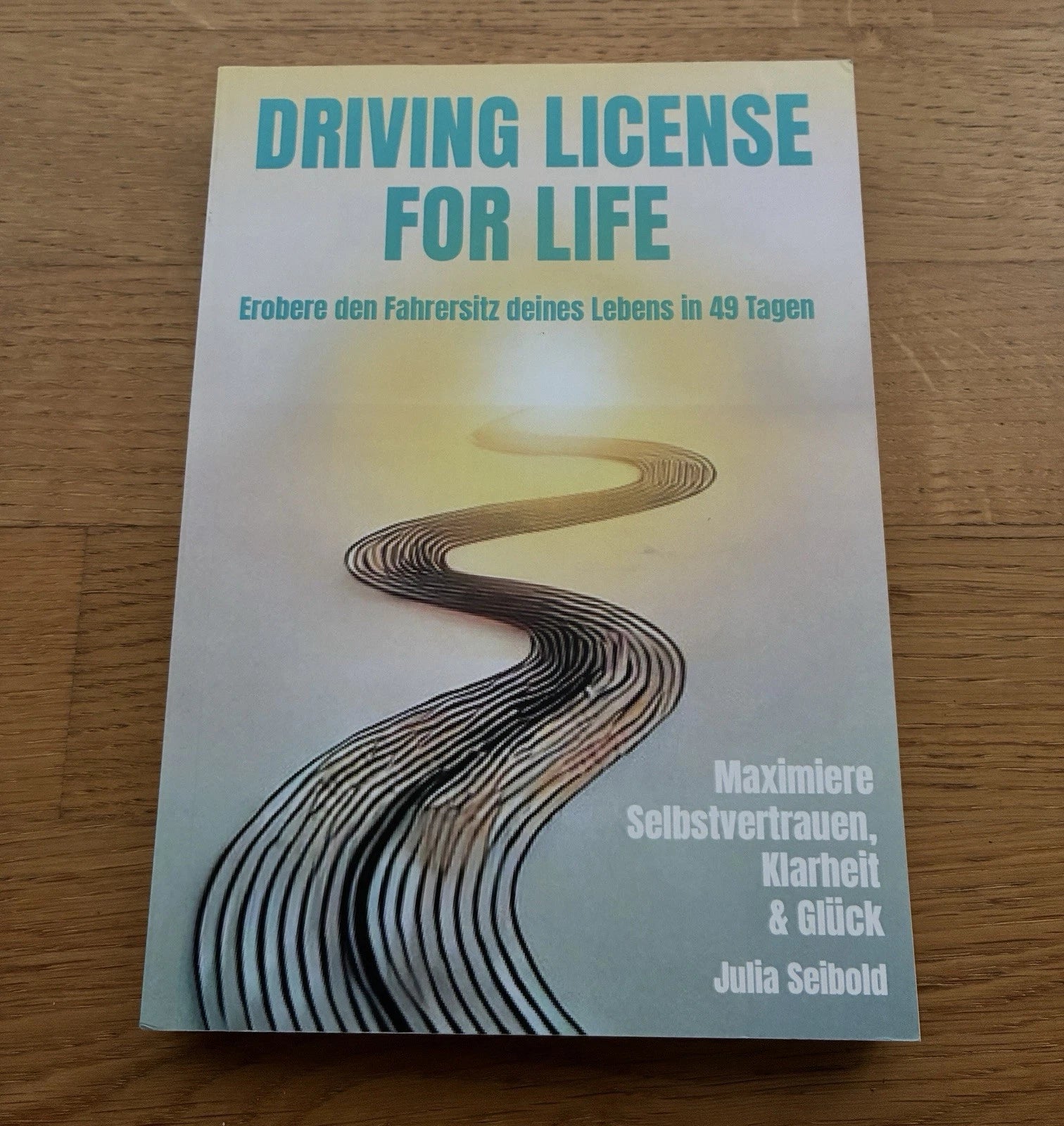 Driving License for Life: Erobere den Fahrersitz deines Lebens in 49 Tagen | Julia Seibold | Taschenbuch | Zustand sehr gut