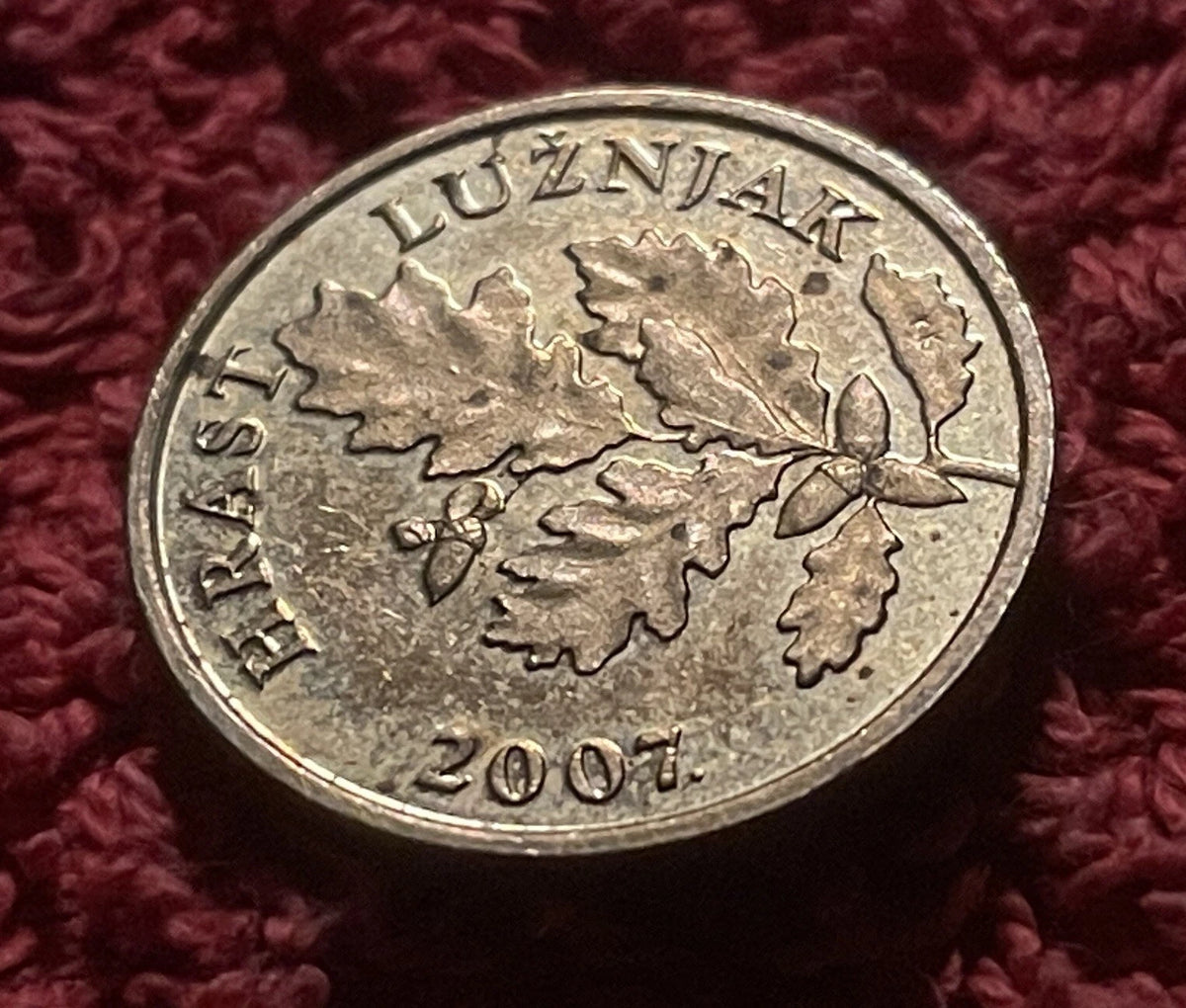 5 Lipa 2007 | Kroatien | Hrast Lužnjak | Eichenlaub | Vermessingter Stahl Münze | schön