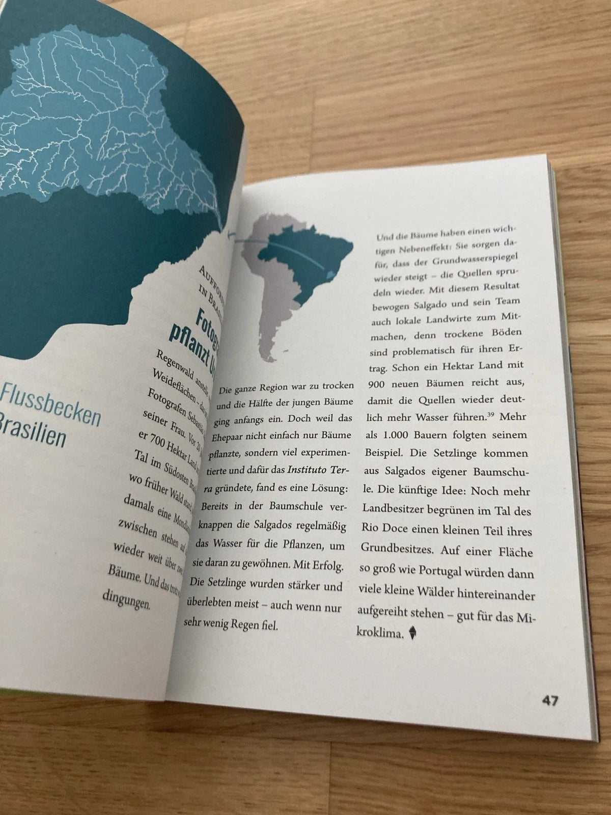 Wie man illegal einen Wald pflanzt – Buch | Katapult | Neu