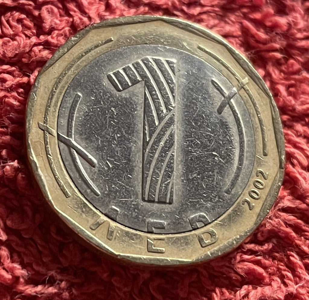 1 Lew 2002 | Bulgarien | Heiliger Iwan Rilski | БЪЛГАРИЯ СВ. ИВАН РИЛСКИ | Bi-Metall Münze