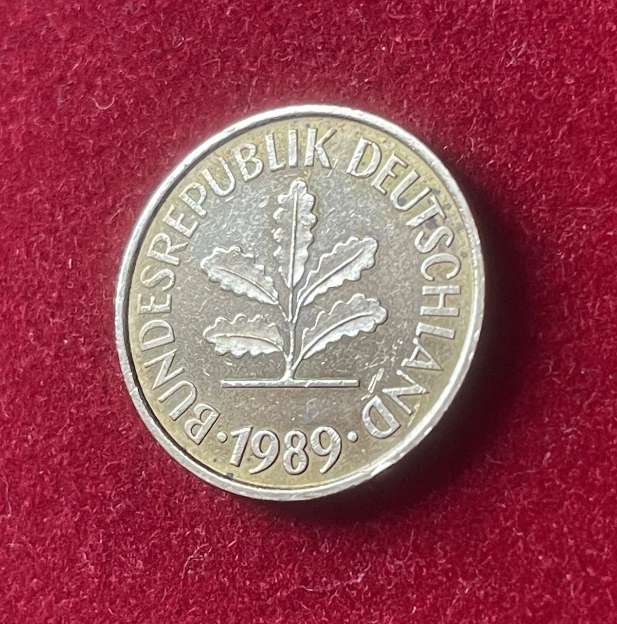 5 Pfennig 1989 J | Bundesrepublik Deutschland (BRD) | Eichenzweig & Getreideähren | Münze aus Vermessingtem Stahl | Sehr schön