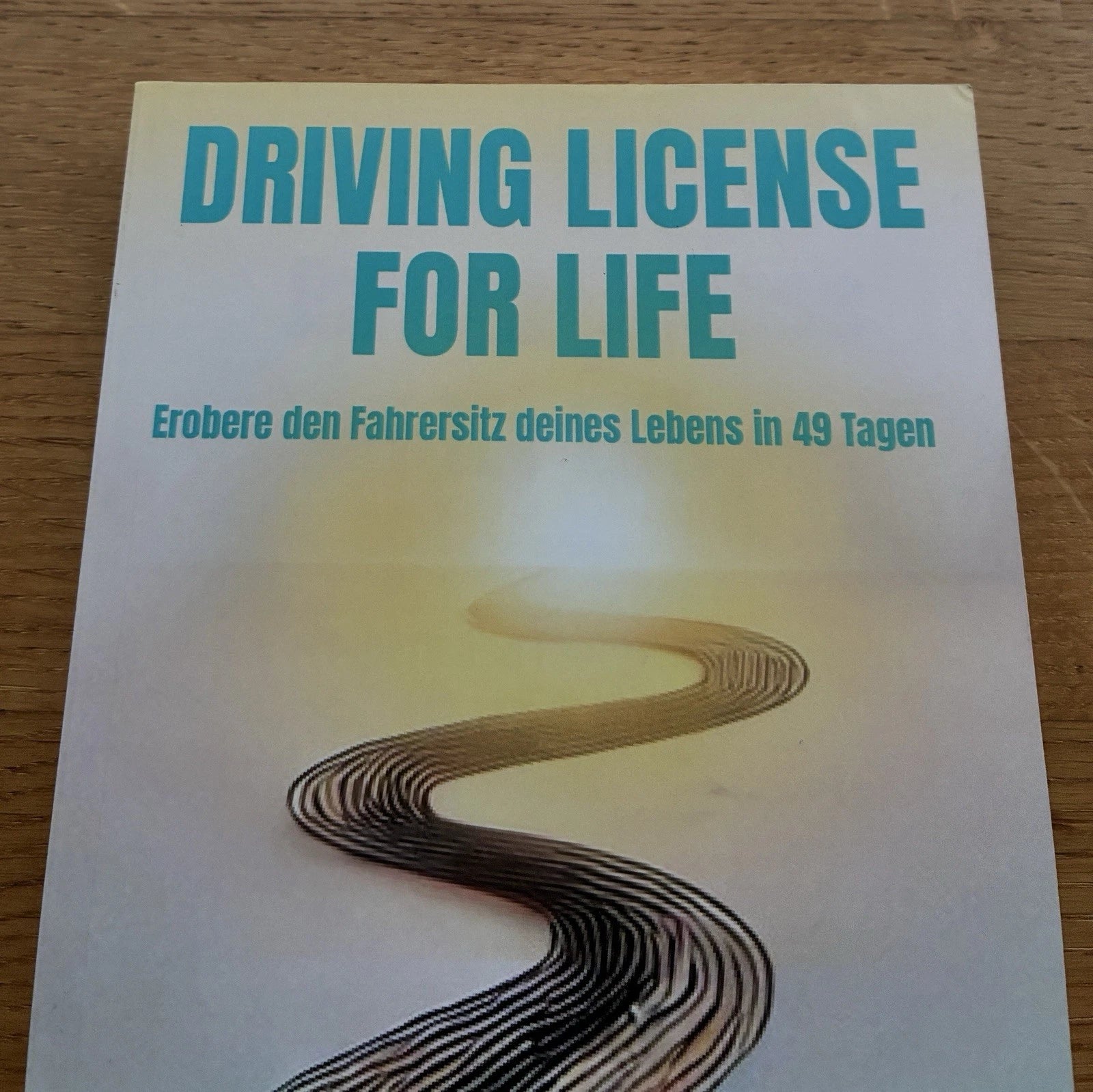 Driving License for Life: Erobere den Fahrersitz deines Lebens in 49 Tagen | Julia Seibold | Taschenbuch | Zustand sehr gut