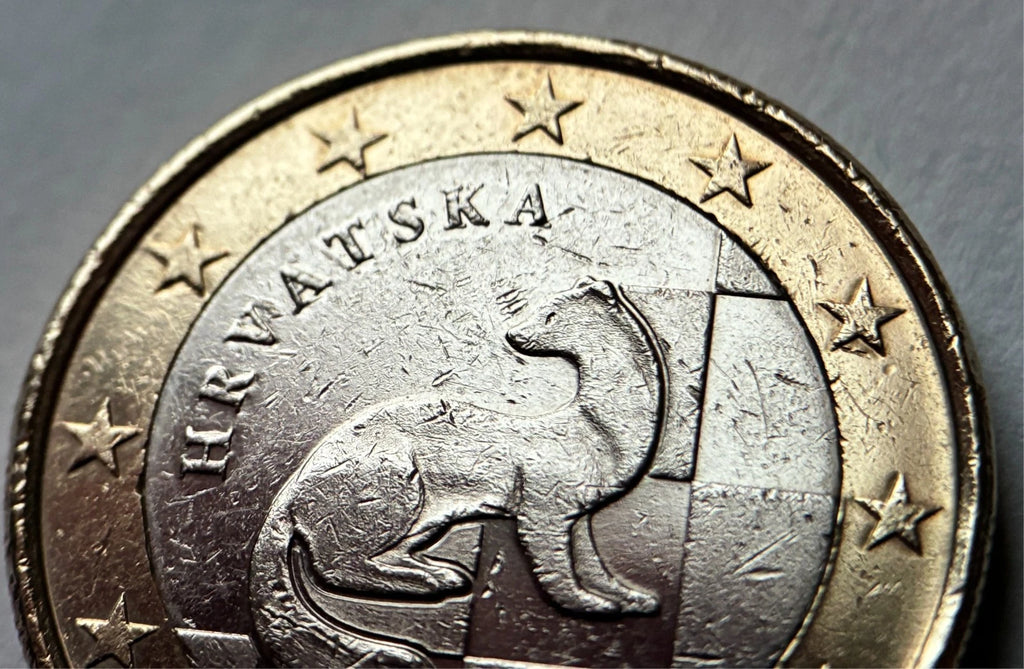1 Euro 2023 | Kroatien | Marder & Schachbrettmuster | HRVATSKA | Bi-Metall Münze