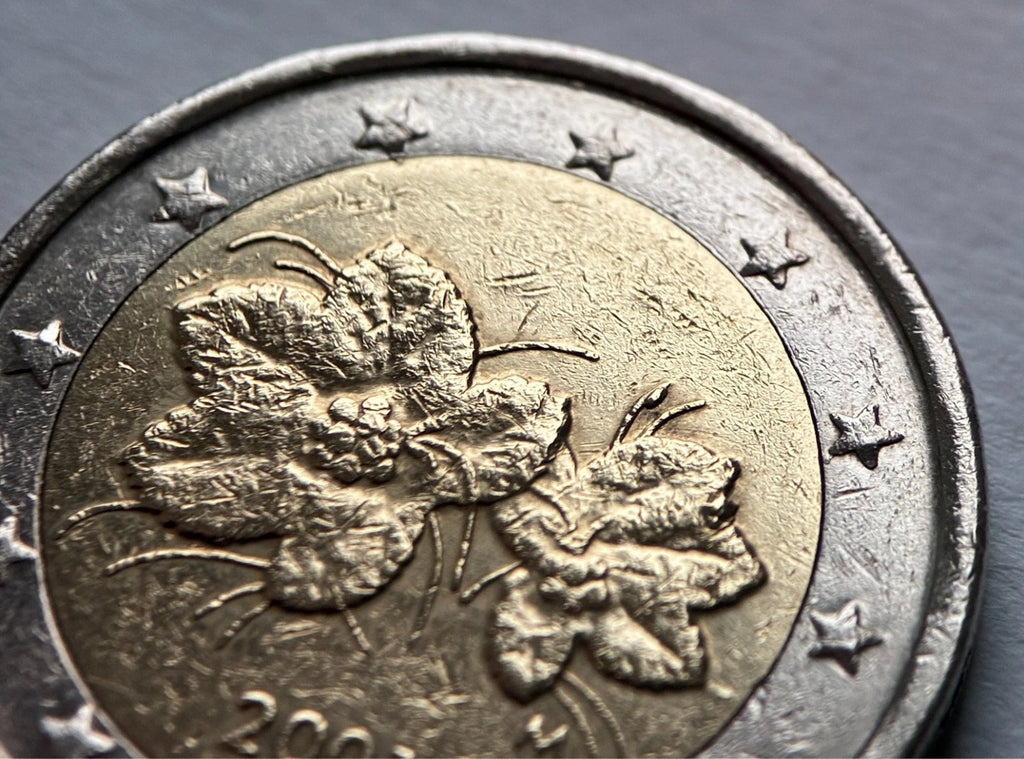 2 Euro 2001 | Finnland | Moltebeere | SUOMI FINLAND | Bi-Metall Münze | gut