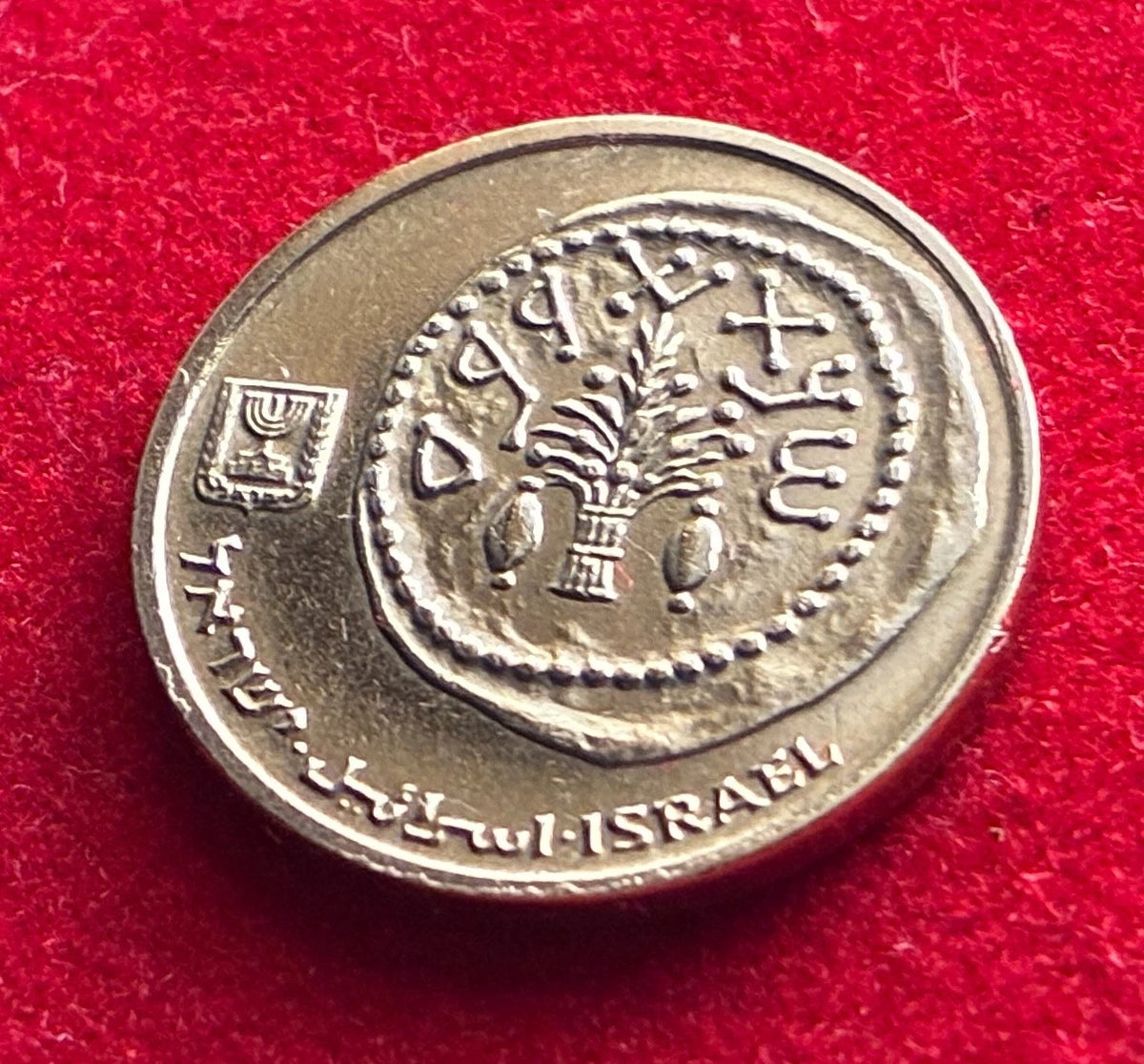 5 Agorot 1986 | Israel | Dattelpalme | Münze aus Aluminiumbronze | schön