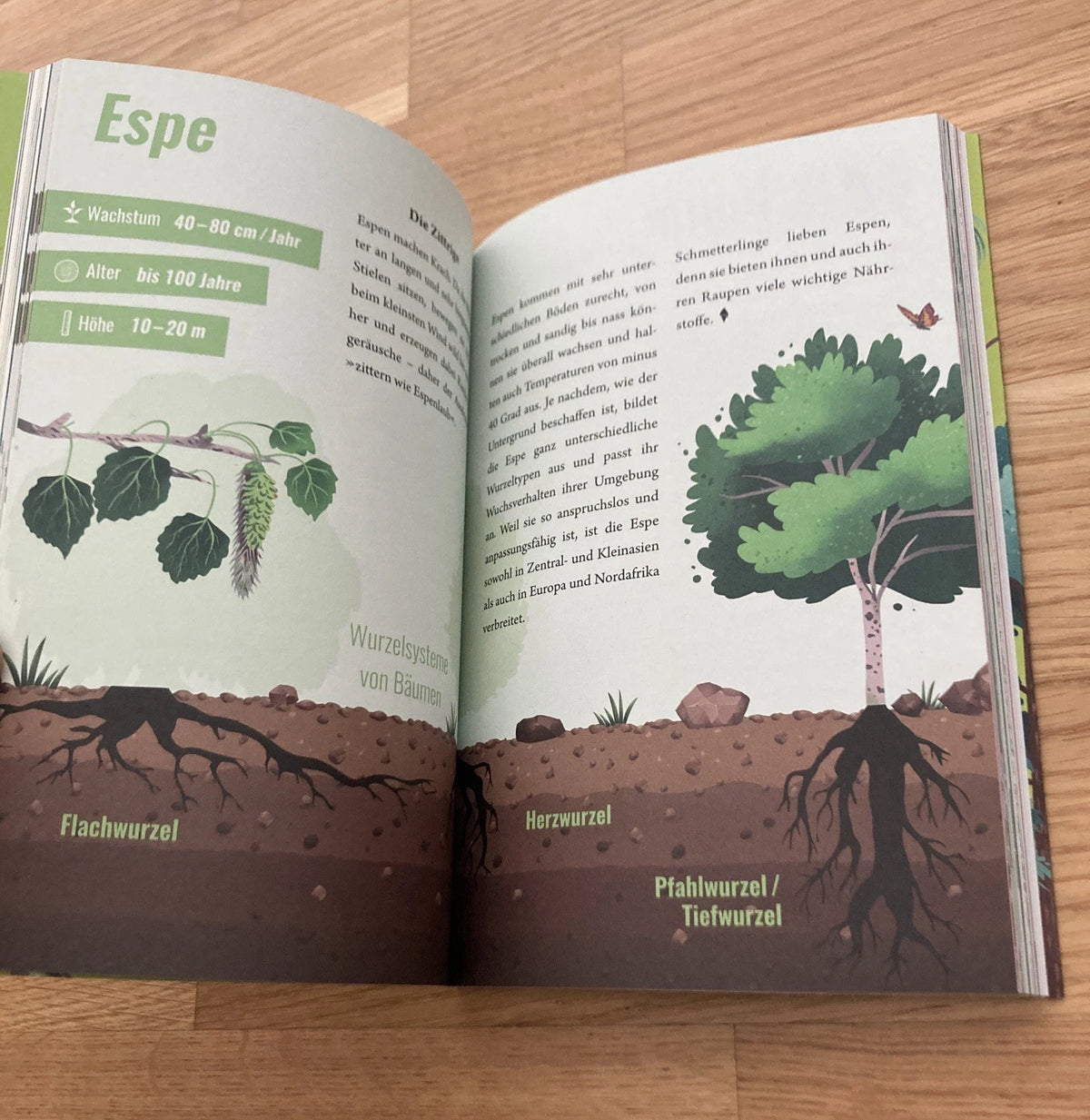 Wie man illegal einen Wald pflanzt – Buch | Katapult | Neu
