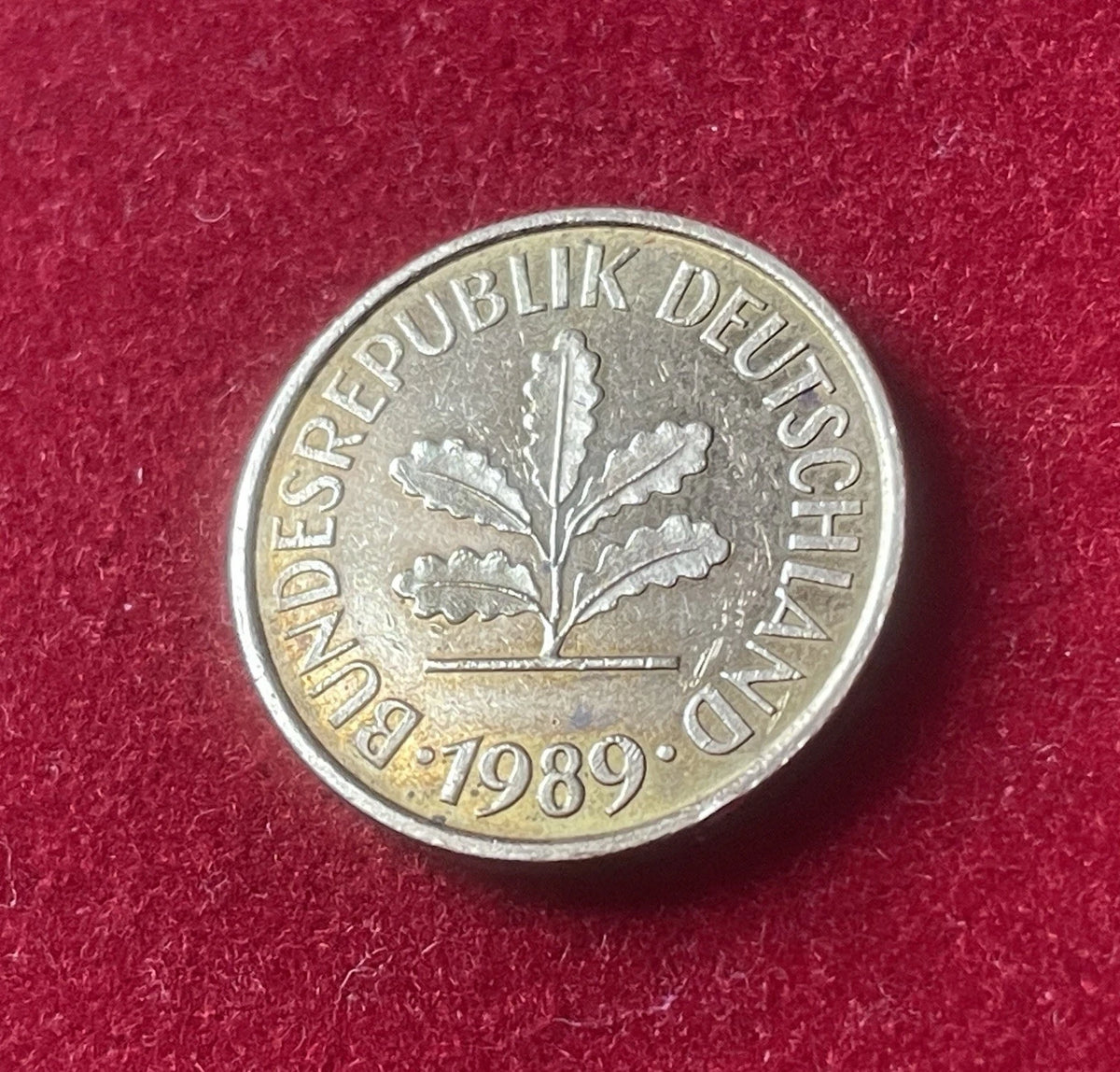 5 Pfennig 1989 J | Bundesrepublik Deutschland (BRD) | Eichenzweig & Getreideähren | Münze aus Vermessingtem Stahl | Sehr schön