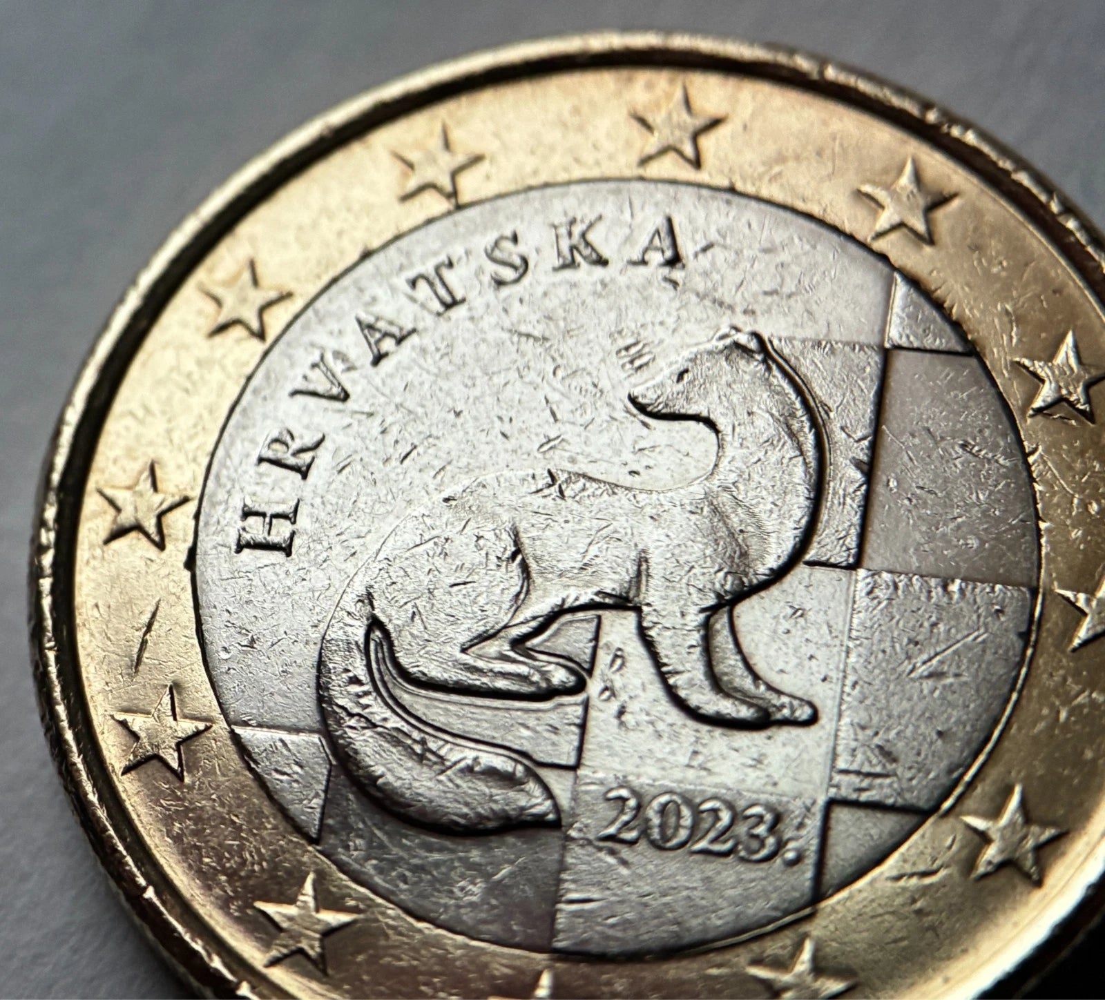 1 Euro 2023 | Kroatien | Marder & Schachbrettmuster | HRVATSKA | Bi-Metall Münze