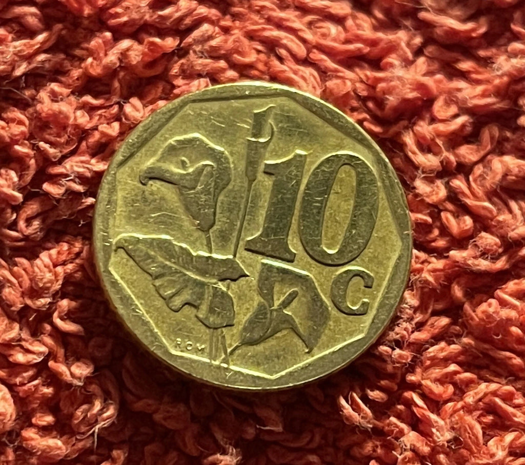 10 Cent 2008 | Südafrika | Calla-Blume & Wappen | Verbronzter Stahl Münze