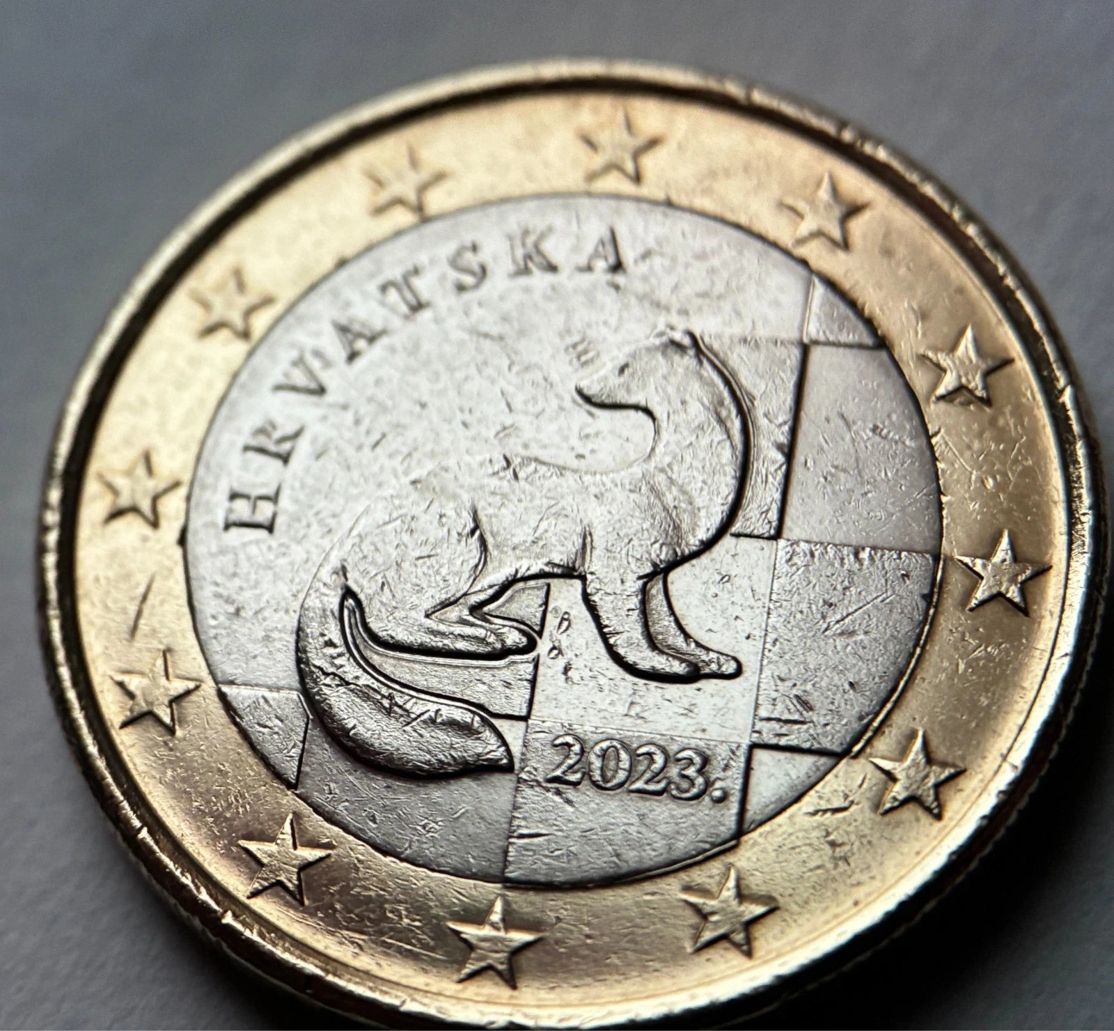 1 Euro 2023 | Kroatien | Marder & Schachbrettmuster | HRVATSKA | Bi-Metall Münze