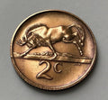 2 Cent 1986 | Südafrika | Gnu (Wildtier) | Bronze | Kursmünze | schön