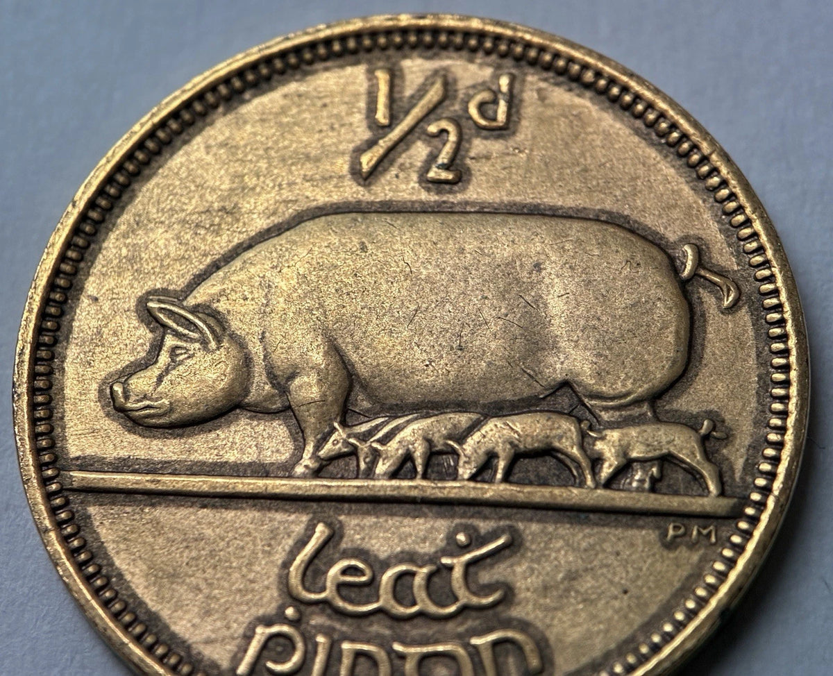 1/2 Penny 1964 | Irland | Glücksmünze der Iren | Bronze | Edel vergoldet | Mit Zertifikat | Münze