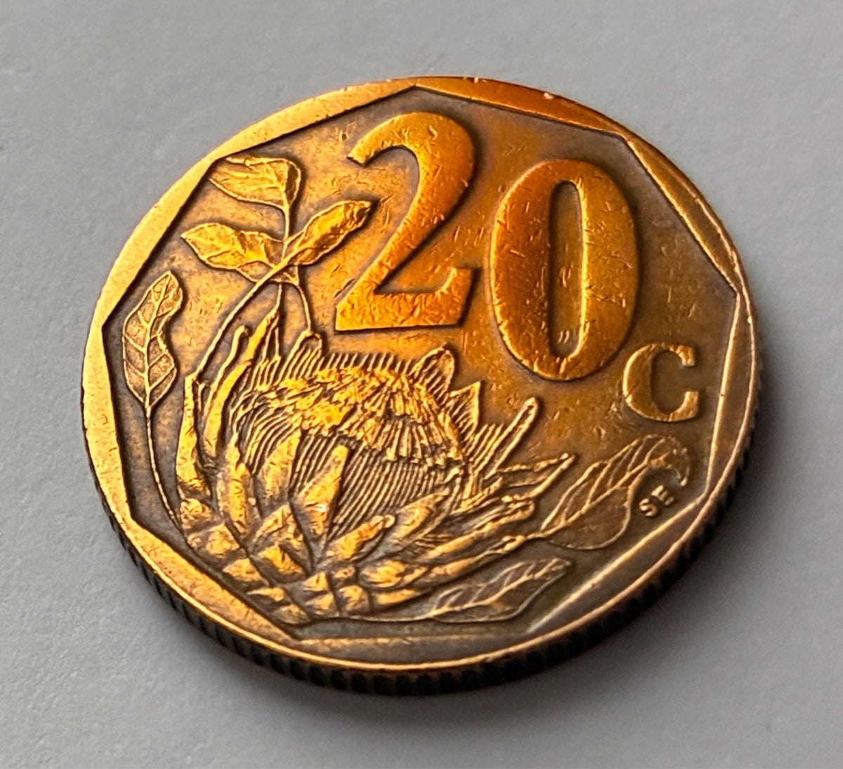 20 Cents 1999 | Südafrika | Zuckerbusch Motiv (Protea) | Verbronzter Stahl Münze | schön