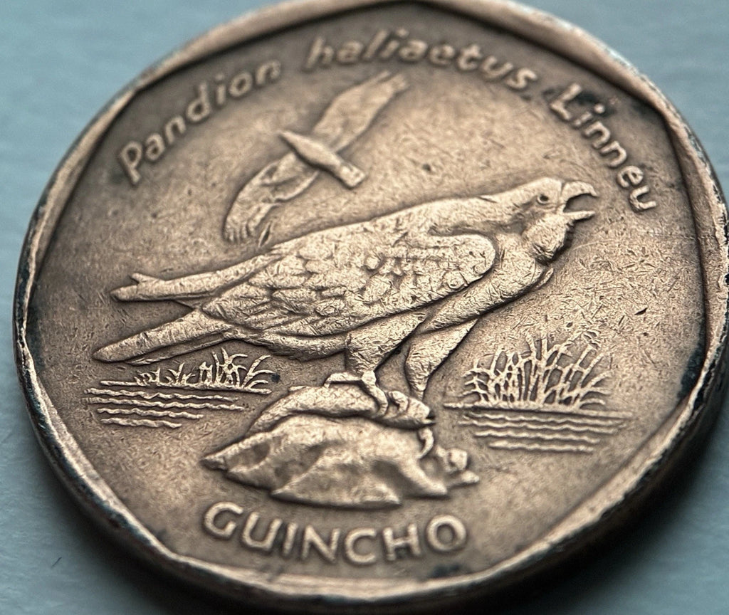 5 Escudos 1994 | Kap Verde | Fischadler / Guincho | Kupferplattierter Stahl Münze