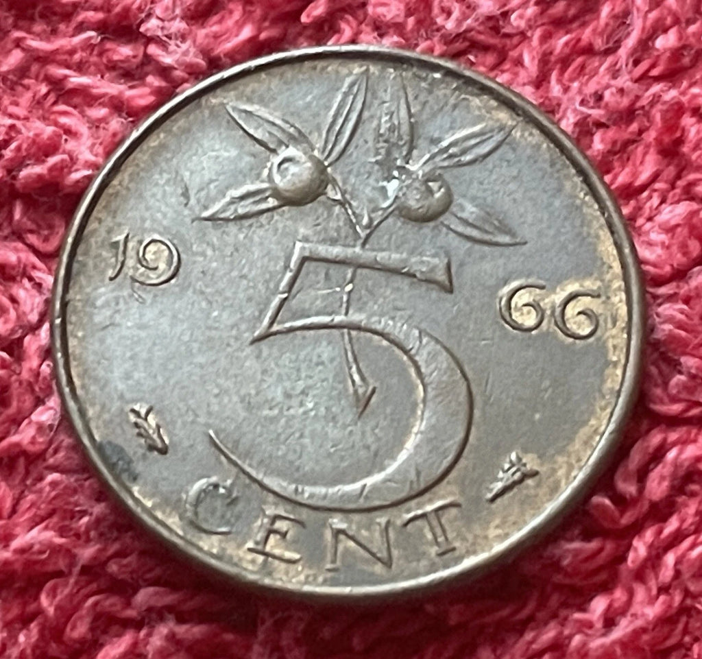 5 Cent 1966 | Niederlande | Königin Juliana | Münze aus Bronze | sehr schön