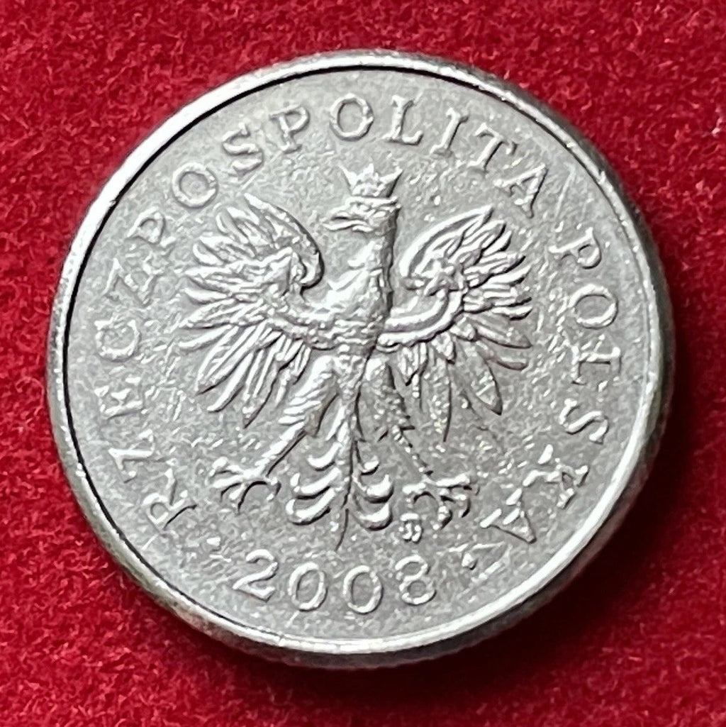 20 Groszy 2008 | Polen | Polnischer Zloty | Kupfer-Nickel Münze | schön