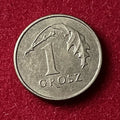 1 Grosz 2011 | Polen | Polnischer Złoty | Rzeczpospolita Polska | Mangan-Messing Münze