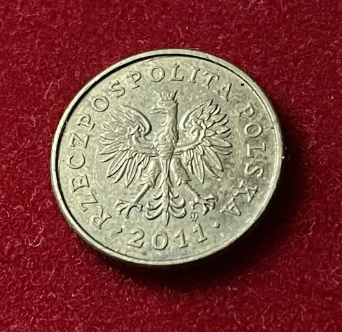 1 Grosz 2011 | Polen | Polnischer Złoty | Rzeczpospolita Polska | Mangan-Messing Münze
